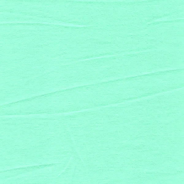 Mint Cotton Flannel Bolt Fabric